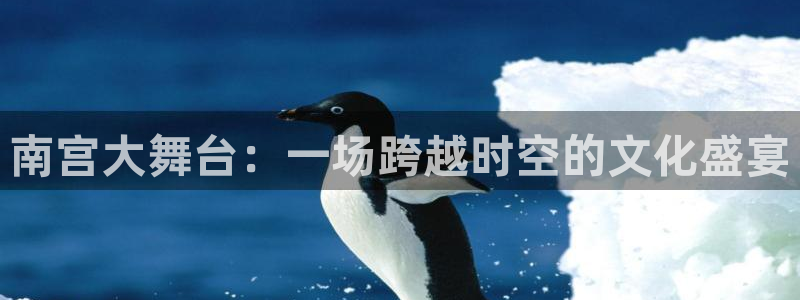 壹号top娱乐