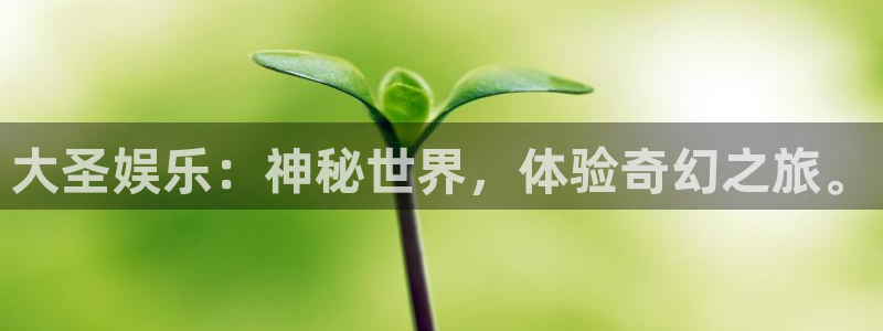 卧龙娱乐官网