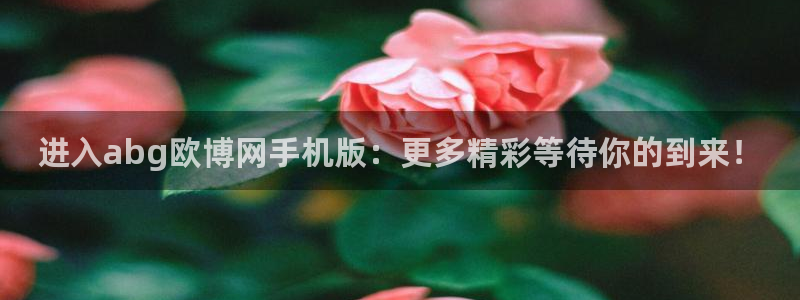 壹号平台下载