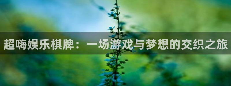卧龙娱乐科技赋能,让平台更有趣