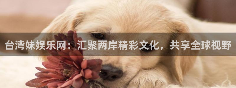 壹号平台下载安装