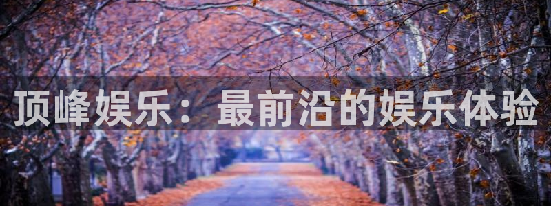 壹号大舞台怎么下载