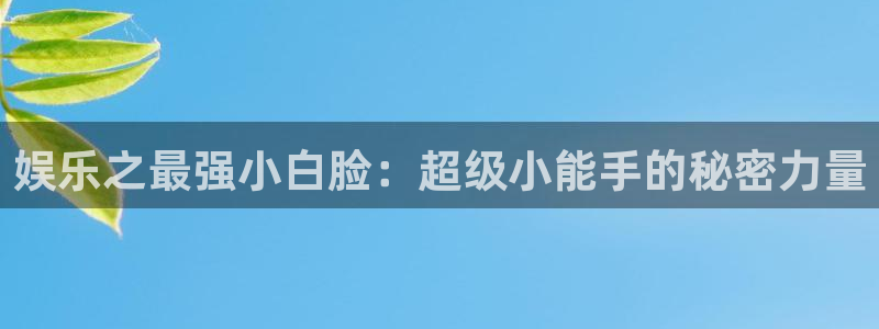 壹号电子娱乐app下载最新版