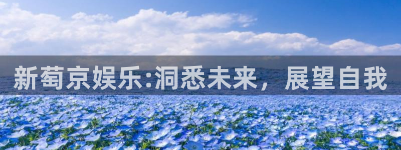 壹号大舞台怎么下载