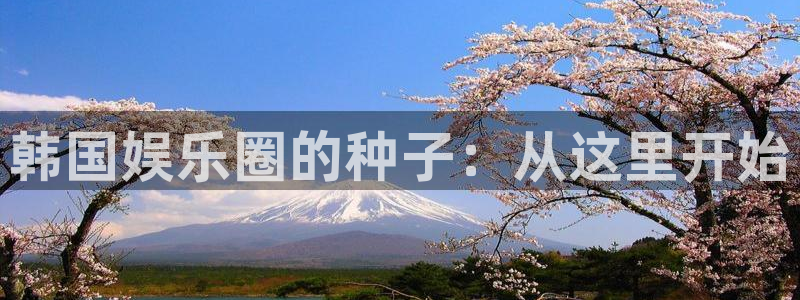 壹号平台下载安装官网
