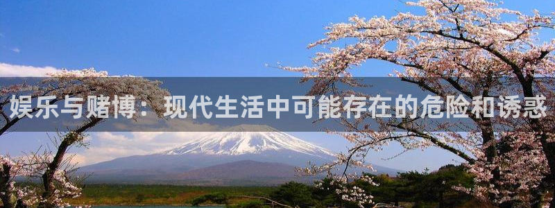 壹号大舞台娱乐传媒