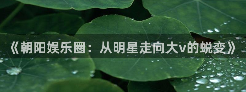 壹号大舞台怎么注册