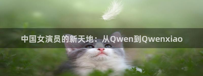壹号top娱乐