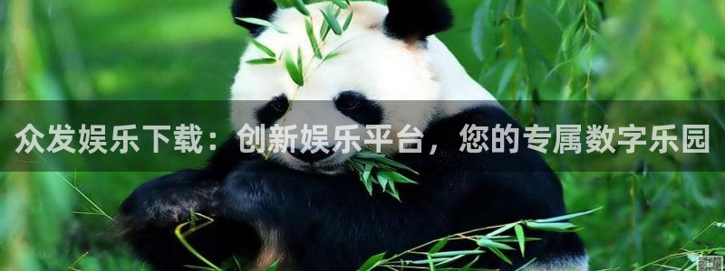 卧龙娱乐电子游戏官网：众发娱乐下载：创新娱乐平台，您的专属数字乐园