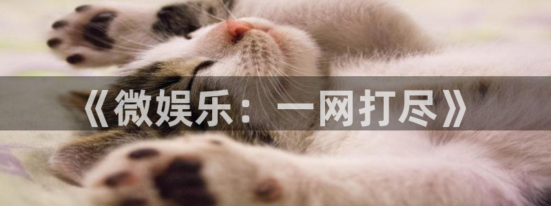 壹号平台下载安装官网