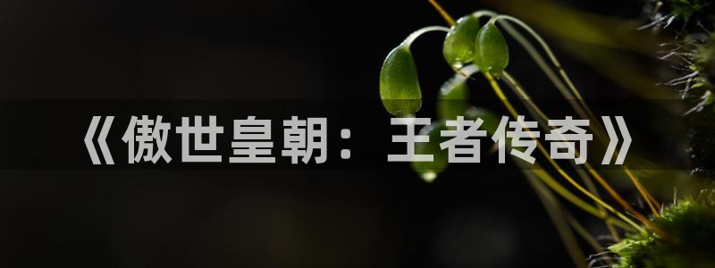 伟德国际集团 壹号(one game)