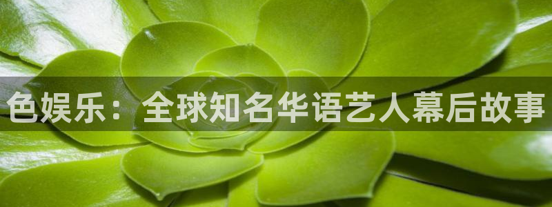 壹号官方app下载安装：色娱乐：全球知名华语艺人幕后故事