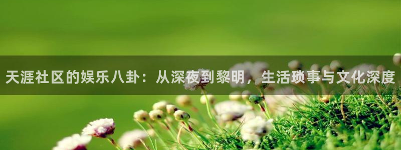 壹号大舞台网站：天涯社区的娱乐八卦：从深夜到黎明，生活琐事与文化深度